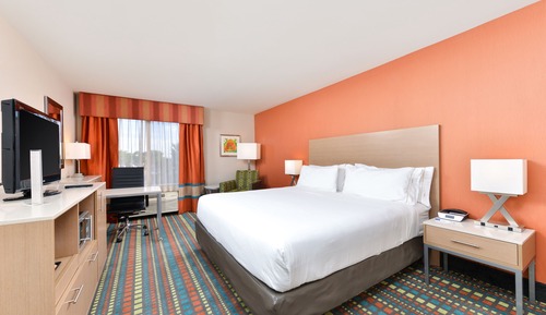 Room, 1 King Bed with Sofa bed, Accessible Bathtub (Comm, Mobil, Access Tub)