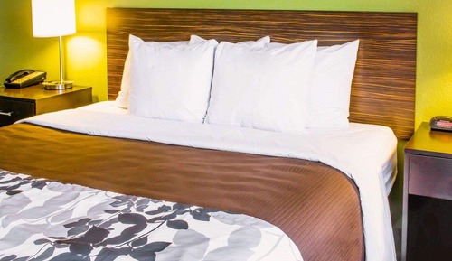 Business Room, 1 King Bed, Non Smoking