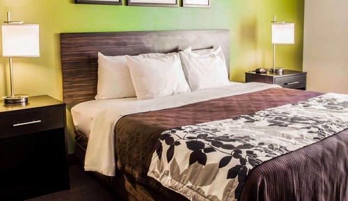 Business Room, 1 King Bed, Accessible, Non Smoking