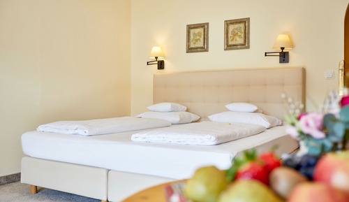 Superior Double Room, Mountain View
