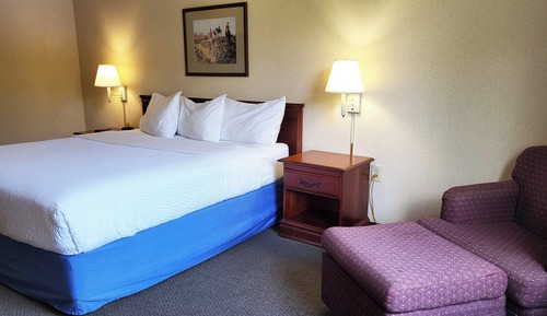 Standard Room, 1 King Bed, Non Smoking, Refrigerator & Microwave