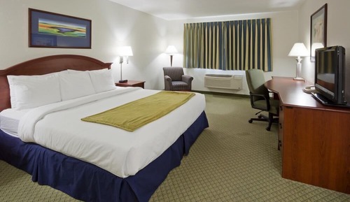 Standard Room, 1 King Bed, Accessible, Non Smoking