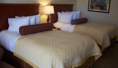 Executive Double Room (Pets Not Allowed)