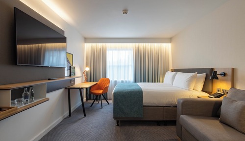 Standard Room, 1 King Bed with Sofa bed