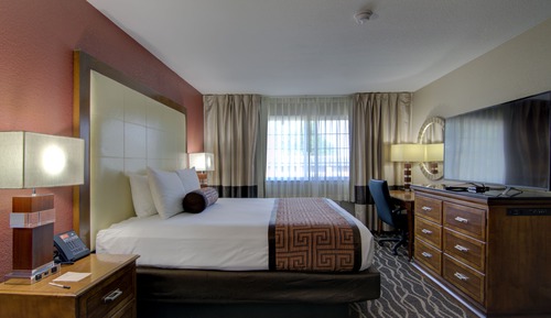 Room, 1 King Bed, Non Smoking (Indoor)