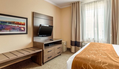 Suite, 1 King Bed with Sofa bed, Accessible, Non Smoking