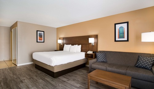 Standard Room, 1 King Bed, Non Smoking, Refrigerator & Microwave (with Sofabed)