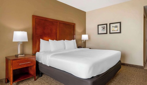 Room, 1 King Bed, Accessible, Non Smoking