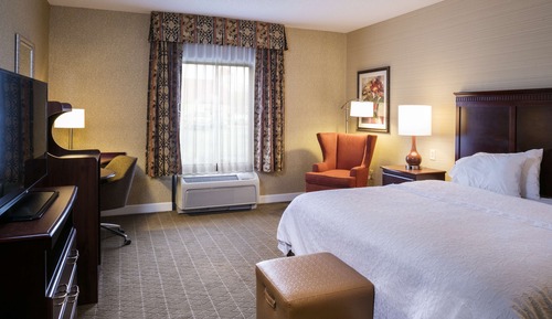 Room, 1 King Bed, Accessible, Non Smoking