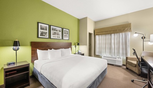 Room, 1 King Bed, Accessible, Non Smoking