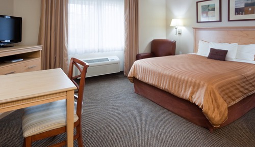 Suite, 1 Bedroom