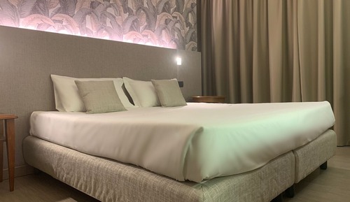 Deluxe Room, Mountain View