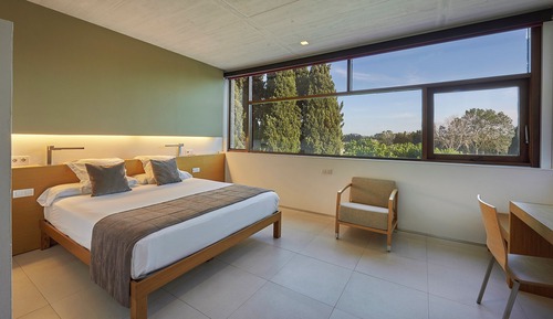 Double or Twin Room (Doble con supletoria)
