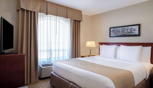 Suite, 1 King Bed