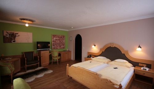 Standard Double Room, View