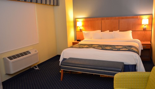 Room, 1 King Bed (Mobility Accessible, Roll-in Shower)