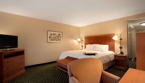 Room, 1 King Bed, Accessible
