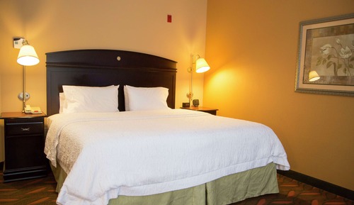 Room, 1 King Bed, Accessible, Non Smoking