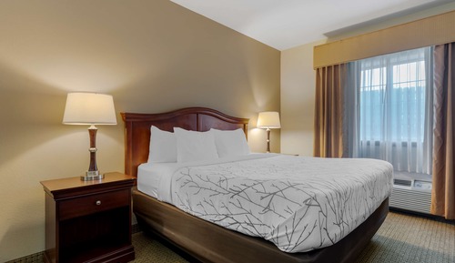 Standard Room, 1 King Bed, Non Smoking, Refrigerator & Microwave (Pet Friendly)