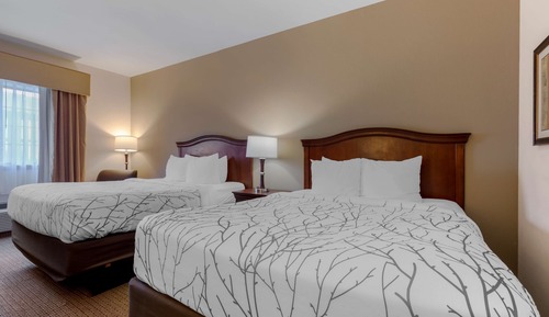 Standard Room, 2 Queen Beds, Non Smoking, Refrigerator & Microwave