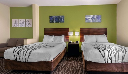 Room, 2 Queen Beds, Non Smoking (Shower)