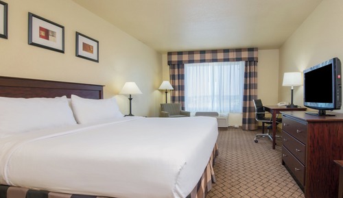 Standard Room, 1 King Bed, Accessible (Communications)