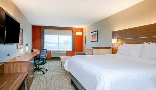 Suite, 1 King Bed with Sofa bed