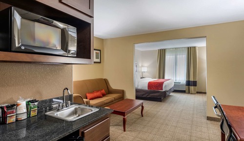 Suite, 1 King Bed with Sofa bed, Non Smoking