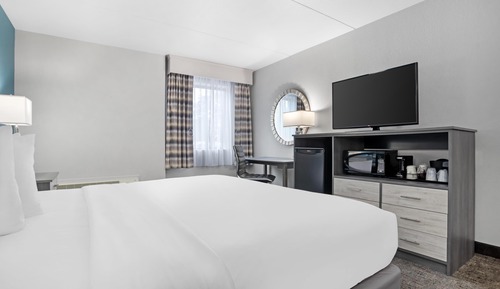 Standard Room, 1 King Bed, Accessible, Refrigerator & Microwave (Pet Friendly)