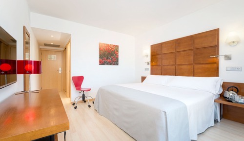 Junior Suite Single Use