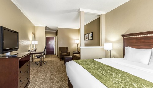 Suite, 1 King Bed, Non Smoking