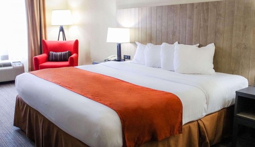 Room, 1 King Bed, Non Smoking