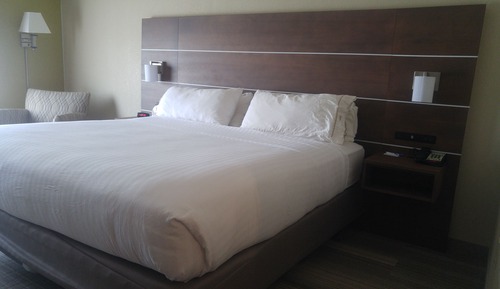 Deluxe Studio, 1 King Bed, Roll-in Shower