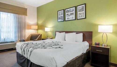 Room, 1 King Bed, Accessible, Non Smoking