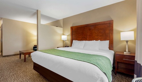 Suite, 1 King Bed with Sofa bed