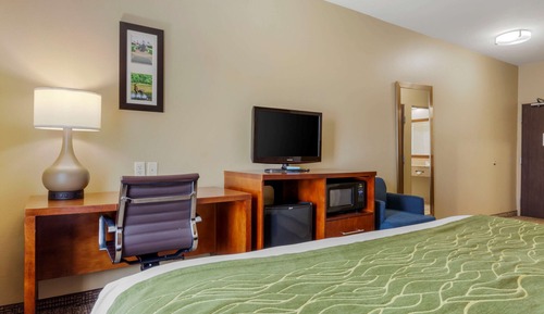 Room, 1 King Bed, Accessible, Non Smoking