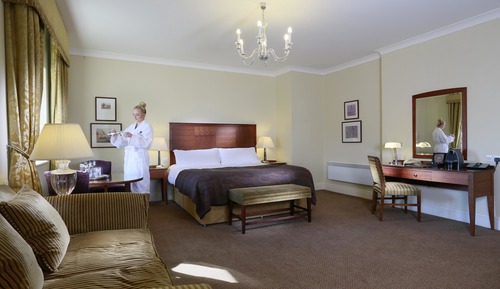 Deluxe Room, 1 Double Bed (Super Deluxe Double Double)