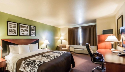 Standard Room, 1 King Bed, Non Smoking
