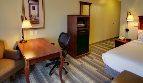 Standard Room, 1 King Bed, Roll-in Shower (Mobility, Roll-In Shower)