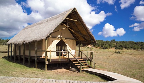 Luxury Tented Suite