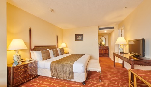 Presidential Room, 1 King Bed