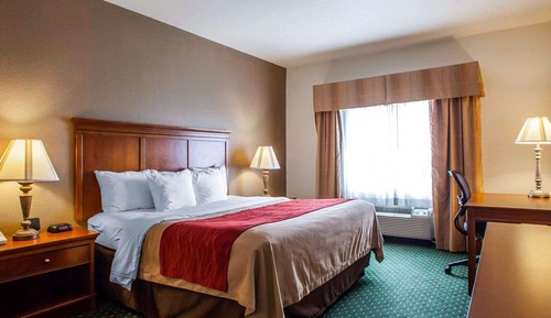 Standard Room, 1 King Bed, Non Smoking
