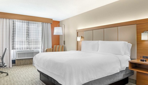 Standard Room, 1 King Bed, Accessible Bathtub (Mobility)