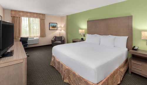 Room, 1 King Bed, Non Smoking