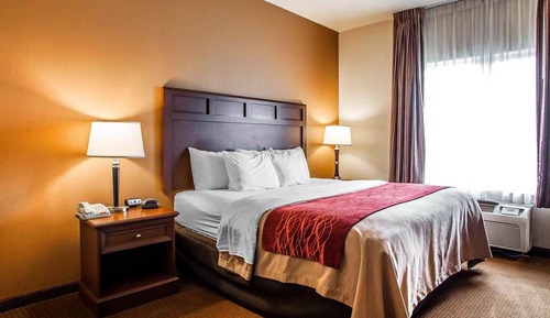 Standard Room, 1 King Bed, Accessible, Non Smoking