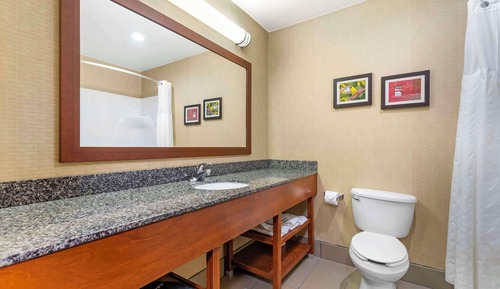 Suite, 1 King Bed with Sofa bed, Non Smoking