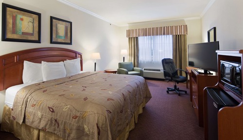 Standard Room, 1 King Bed, Non Smoking, Microwave