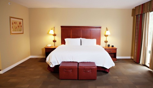 Suite, 1 King Bed, Non Smoking