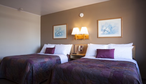Standard Double Room, 2 Double Beds