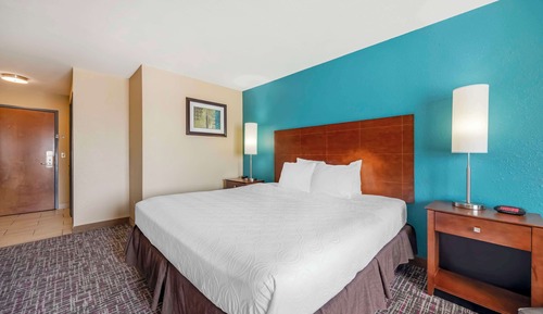 Standard Room, 1 King Bed, Non Smoking, Refrigerator & Microwave